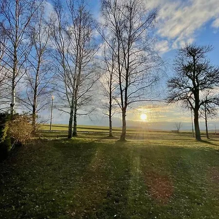 Lucky Piece Of Modern Retreat * Hasselfelde